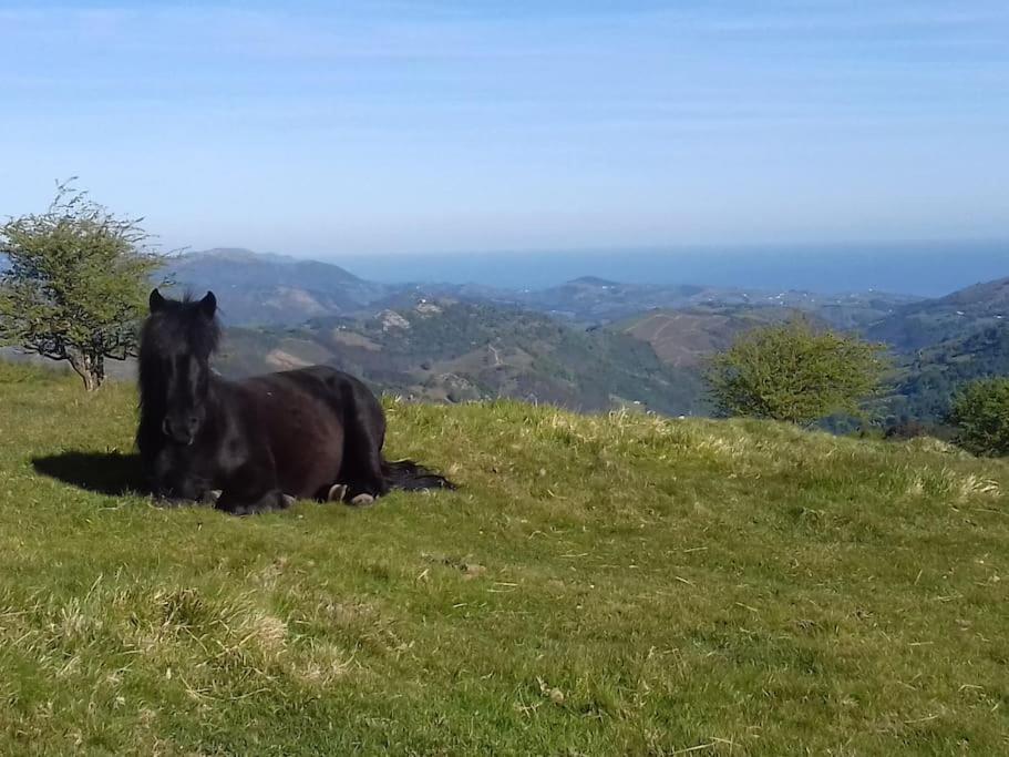 Gite Individuel Au Pays Basque A 1,5Km De St-Jean-Pied-De-Port Saint-Jean-Pied-de-Port Luaran gambar