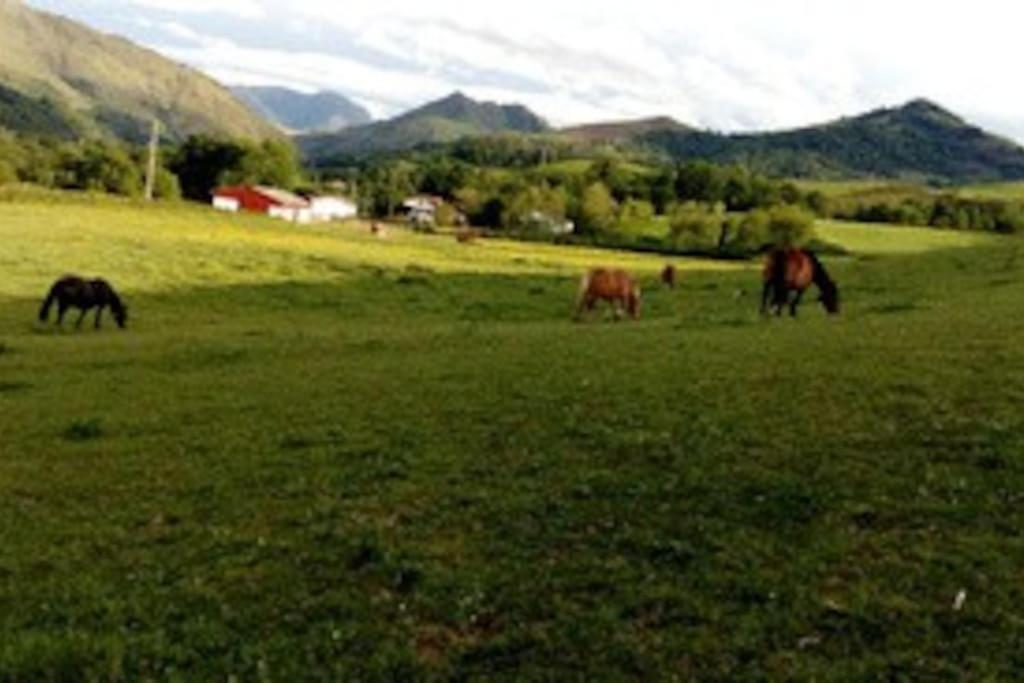 Gite Individuel Au Pays Basque A 1,5Km De St-Jean-Pied-De-Port Saint-Jean-Pied-de-Port Luaran gambar