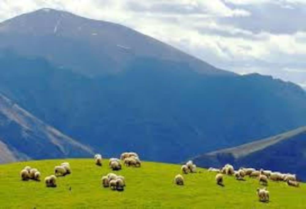 Gite Individuel Au Pays Basque A 1,5Km De St-Jean-Pied-De-Port Saint-Jean-Pied-de-Port Luaran gambar